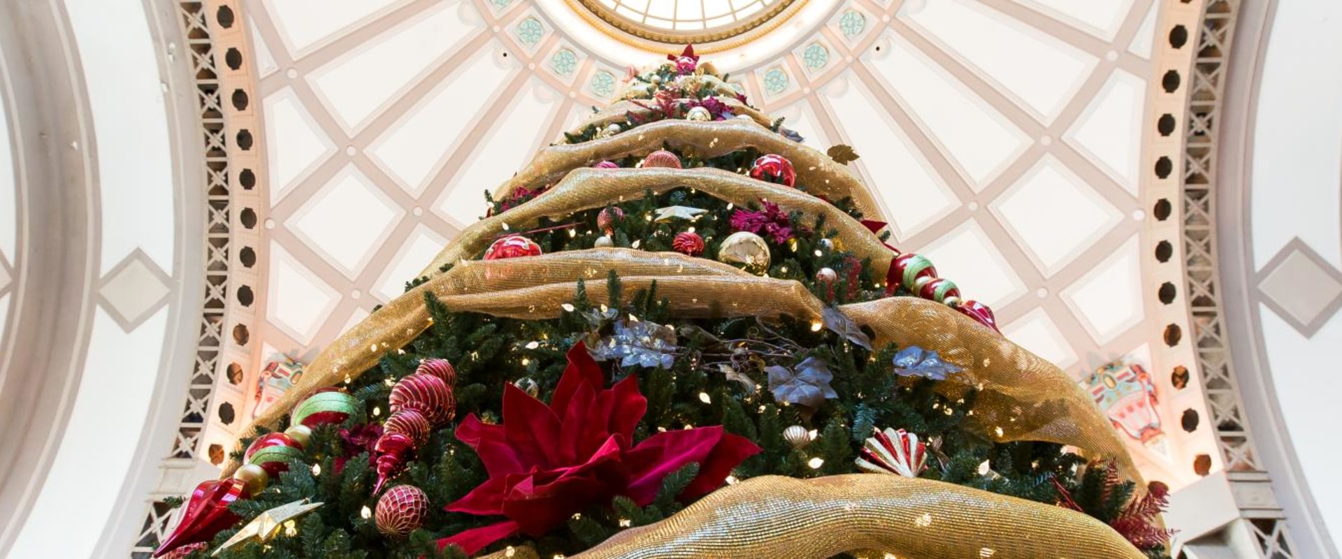 The Art of Celebrating in Hamilton County, Tennessee