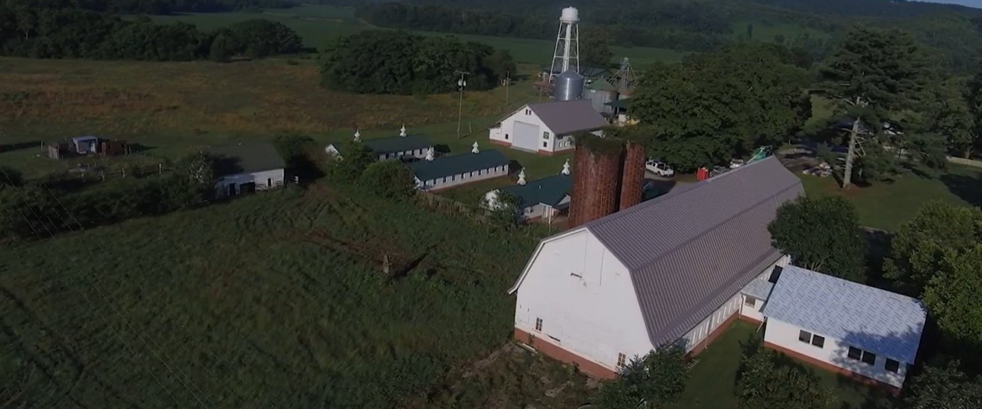 The Evolution of Celebrations in Hamilton County, Tennessee