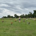 Honoring Our Heroes: Celebrating Memorial Day in Hamilton County, Tennessee